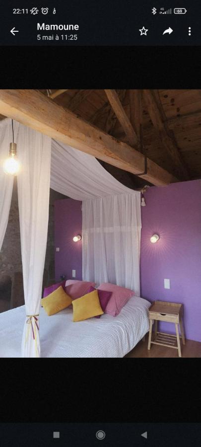 Bed and Breakfast Castel Mazars Castelnau-de-Montmiral Exterior foto